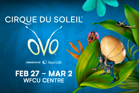  Poster for OVO 